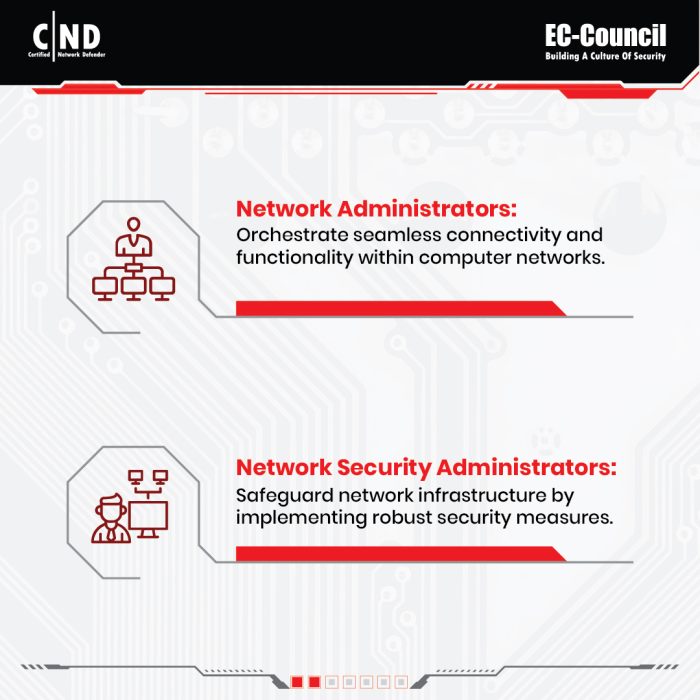 Organizational roles for the CND EC-Council training description - 3