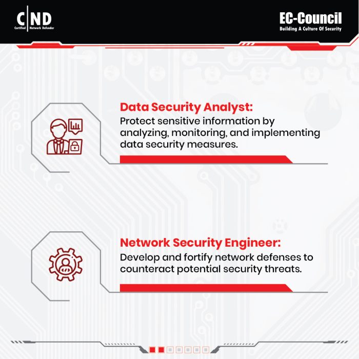 Organizational roles for the CND EC-Council training description - 4