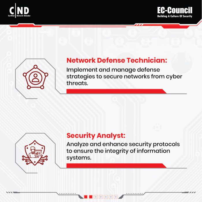 Organizational roles for the CND EC-Council training description - 5