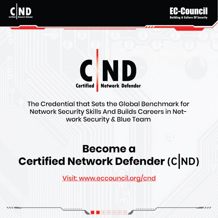 Organizational roles for the CND EC-Council training description - 7